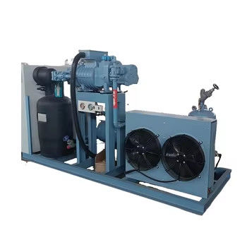 Industriële luchtgekoelde schroefcompressor Eenheid Nieuwe condensatie-eenheid Automatische kenmerken Kern motor koelkast Refcomp compressor