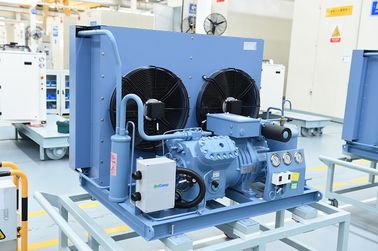 De open Condenserende Eenheid van de Typekoeling met Hoge en Lage Drukcontrolemechanisme