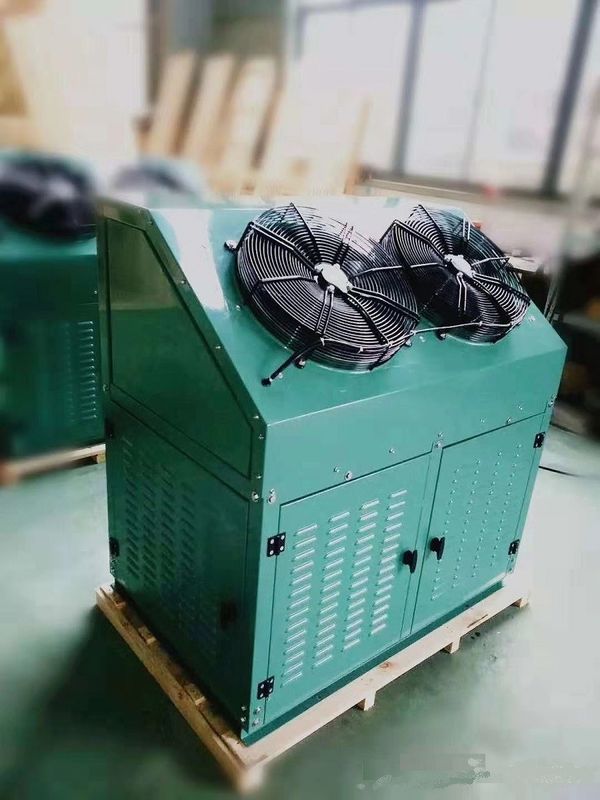 Doostype Diepvriezerzaal Condenserende Eenheid met volledig Hermetische Rolcompressor