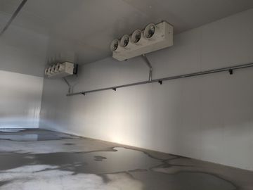 De Bergruimte van de airconditioningsdiepvriezer met Duurzame Pu-Sandwichcomités