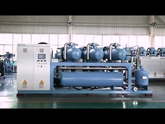 Hoogwaardige gecombineerde schroef luchtdrukmechanisme Op maat gemaakte verkoop voor condensatie-eenheden Koeling